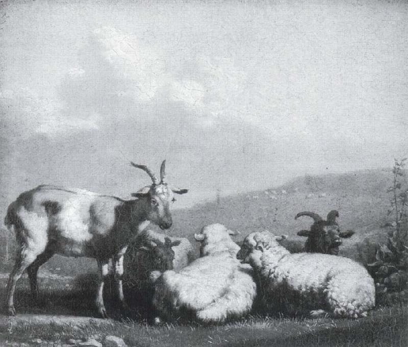 Karel Dujardin Sheep and goats oil painting image